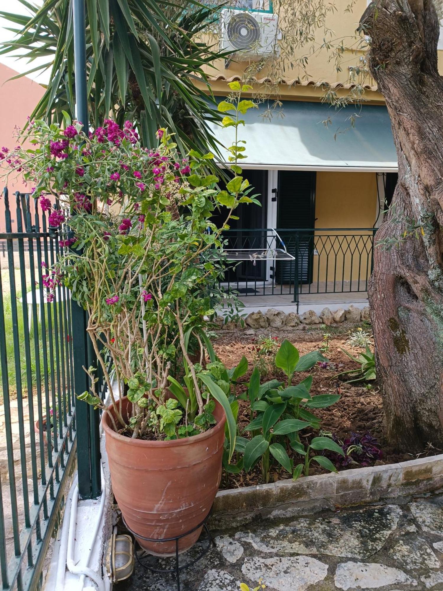 Apartmán Casa Trizoni Nikiana Exteriér fotografie